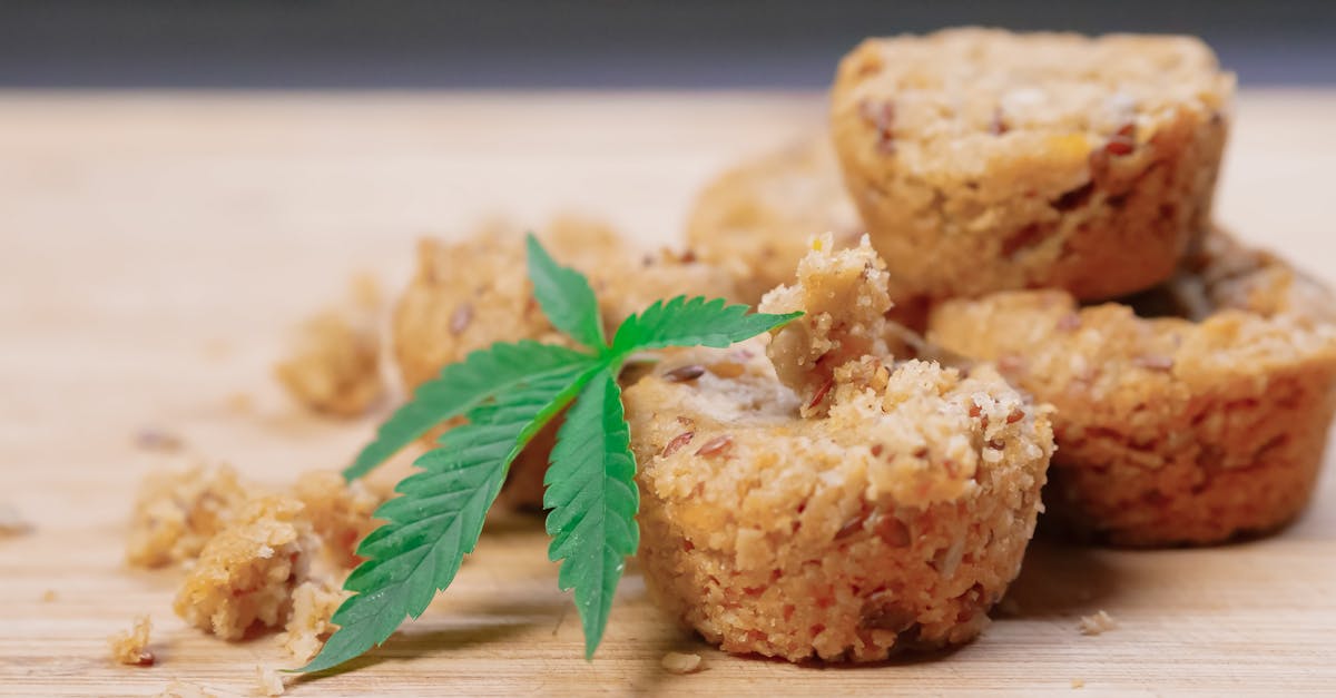 What are the best cannabis edibles for beginners?